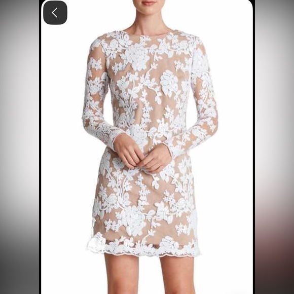 Dress the Population Dresses & Skirts - Dress The Population Grace A-Line Elegant Lace Floral Dress - White and Tan